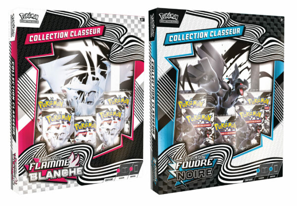 La Collection classeur Écarlate et Violet 10.5